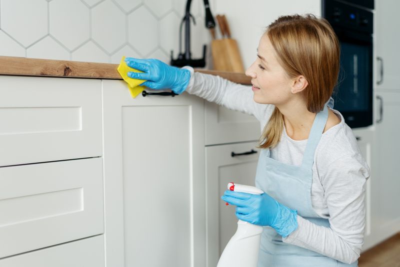 Kitchen Cleaning Service in Bellevue, WA