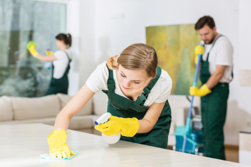 Tenancy Cleaning in Renton, WA